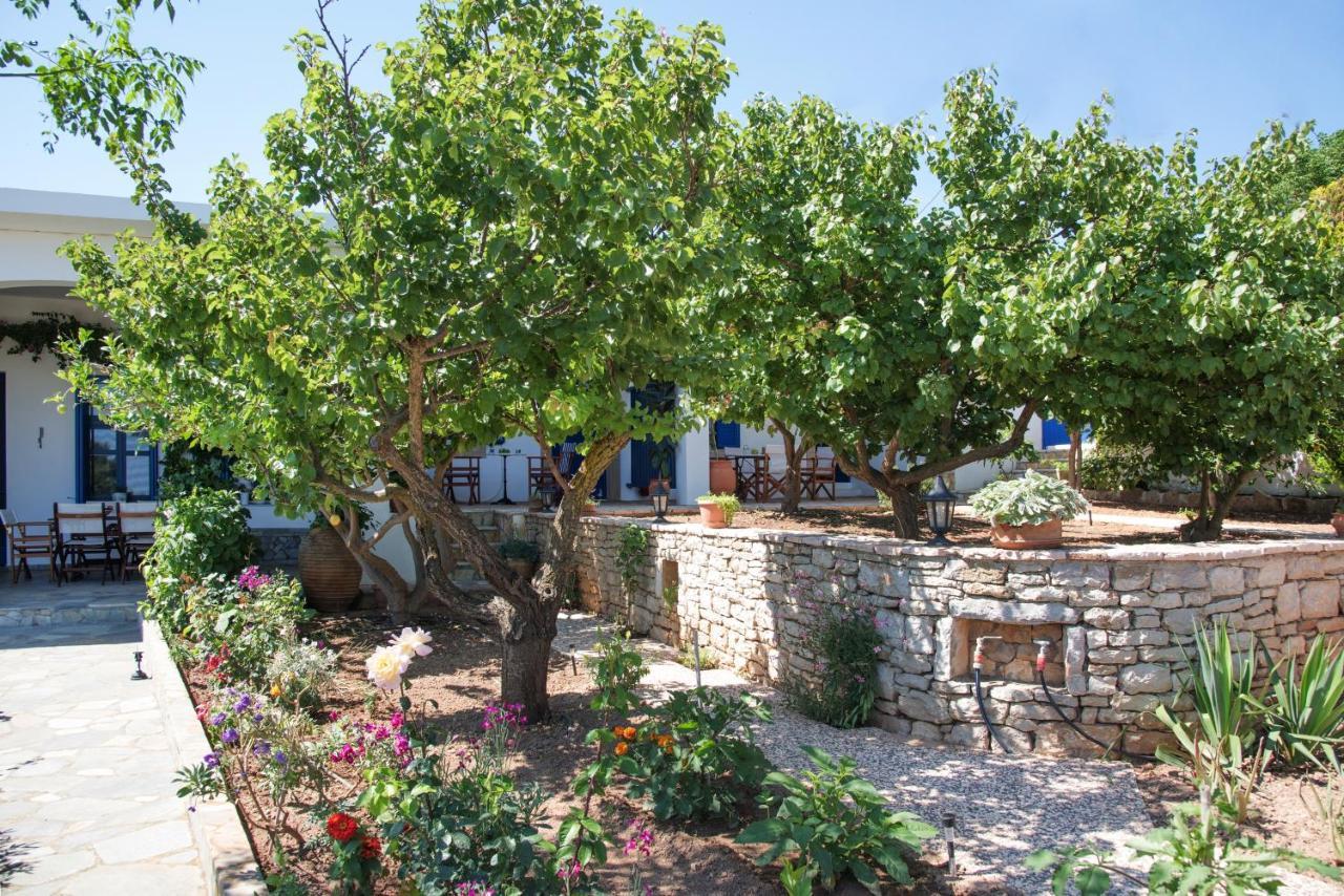 Apartment Vikentios Katsounion